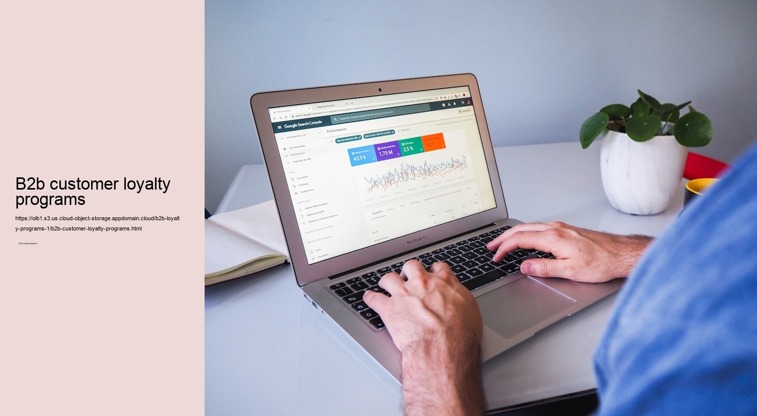 b2b customer loyalty programs