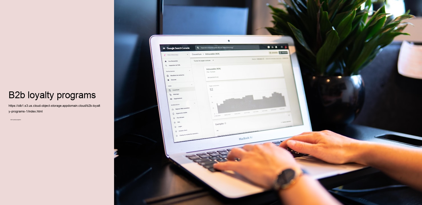 b2b loyalty programs