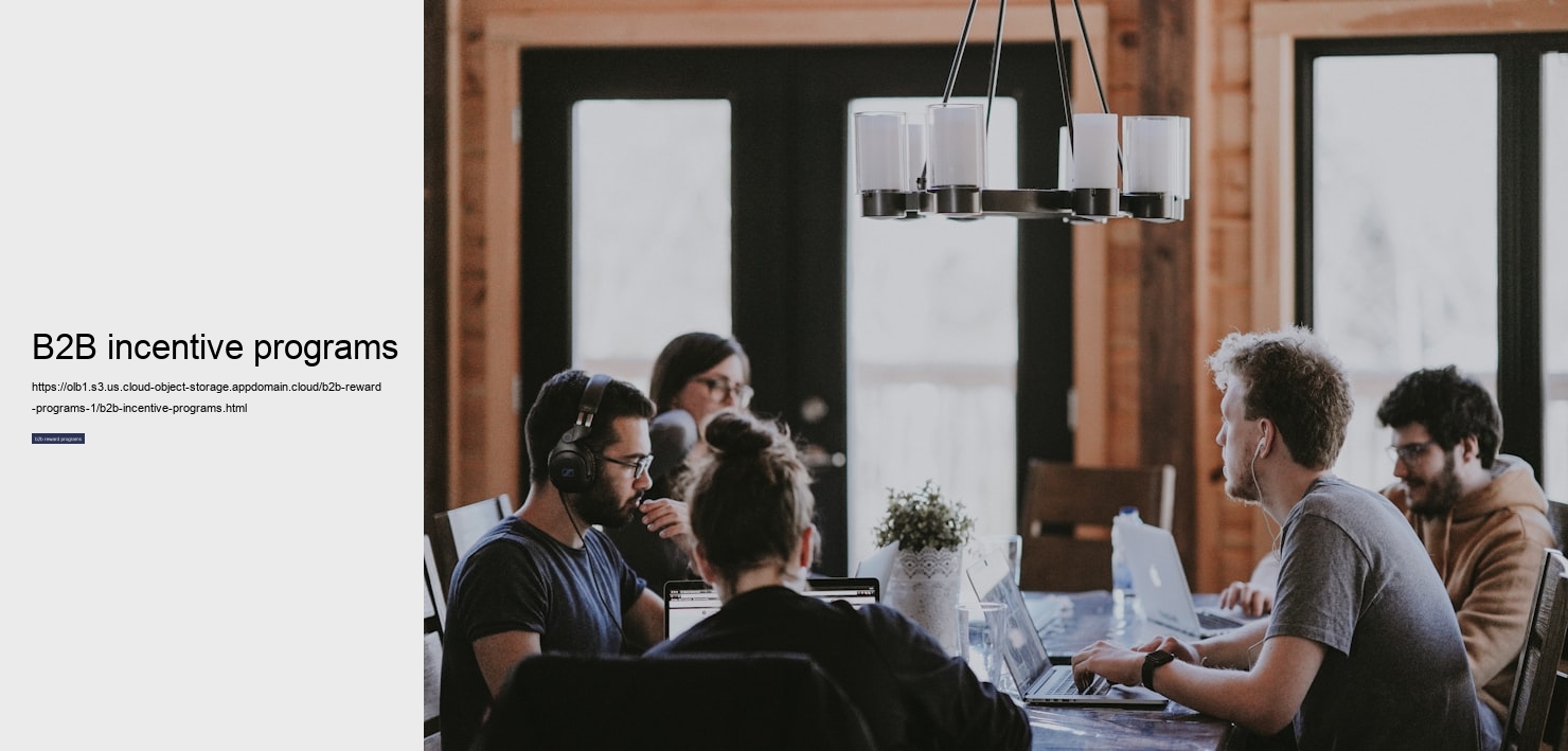 B2B incentive programs