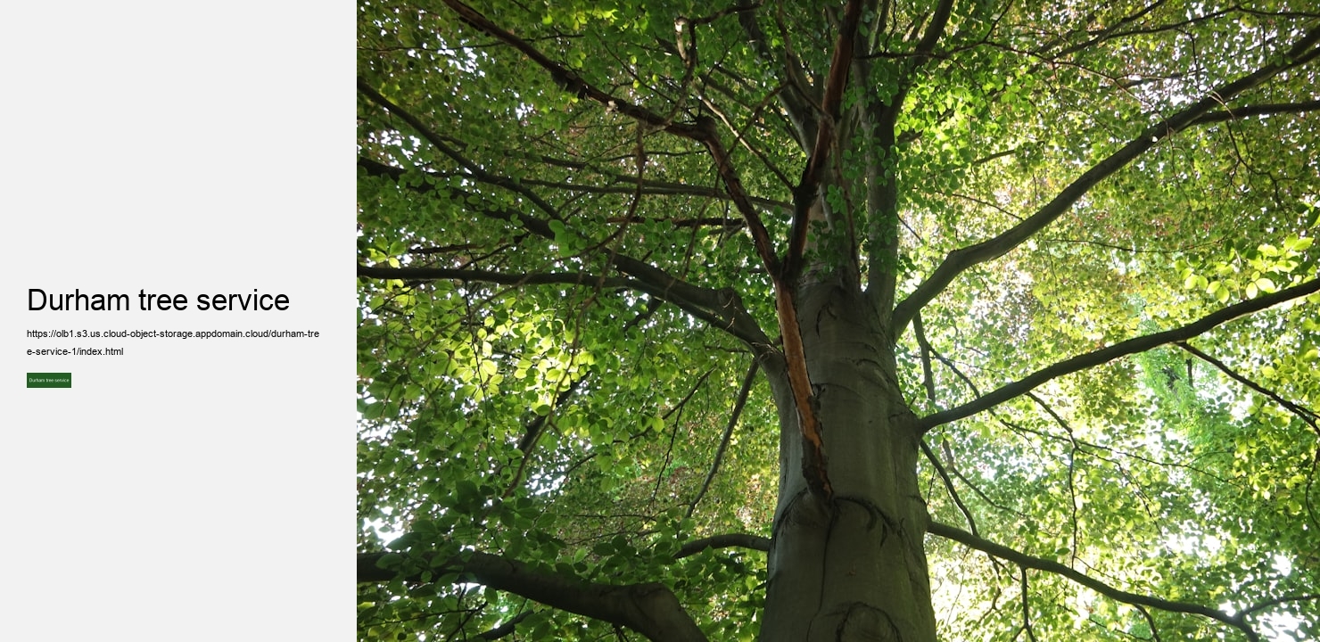 Durham tree service