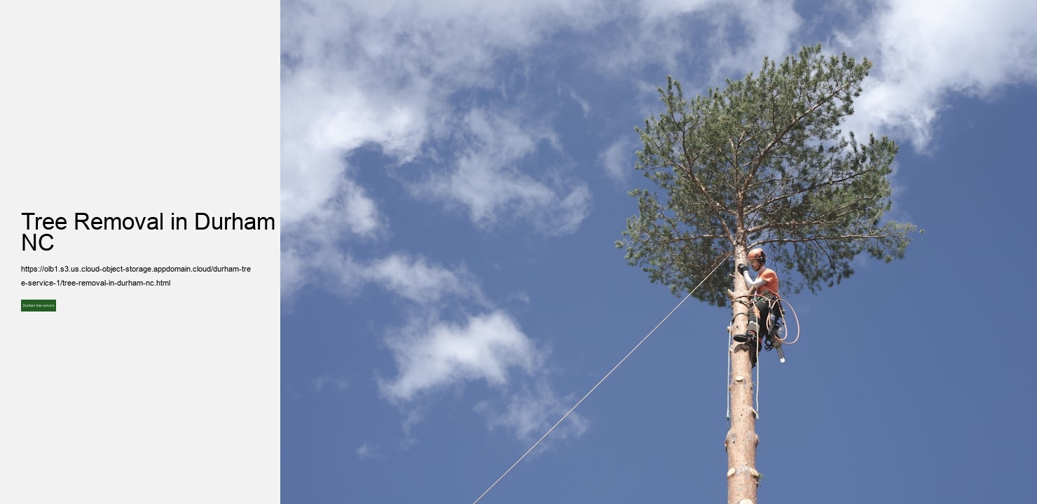 Tree Removal in Durham NC
