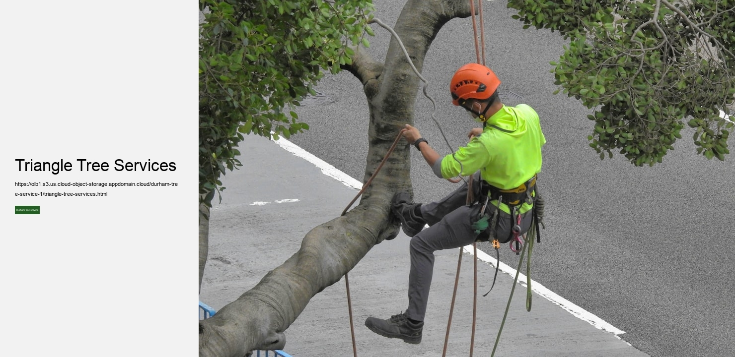 Triangle Tree Services