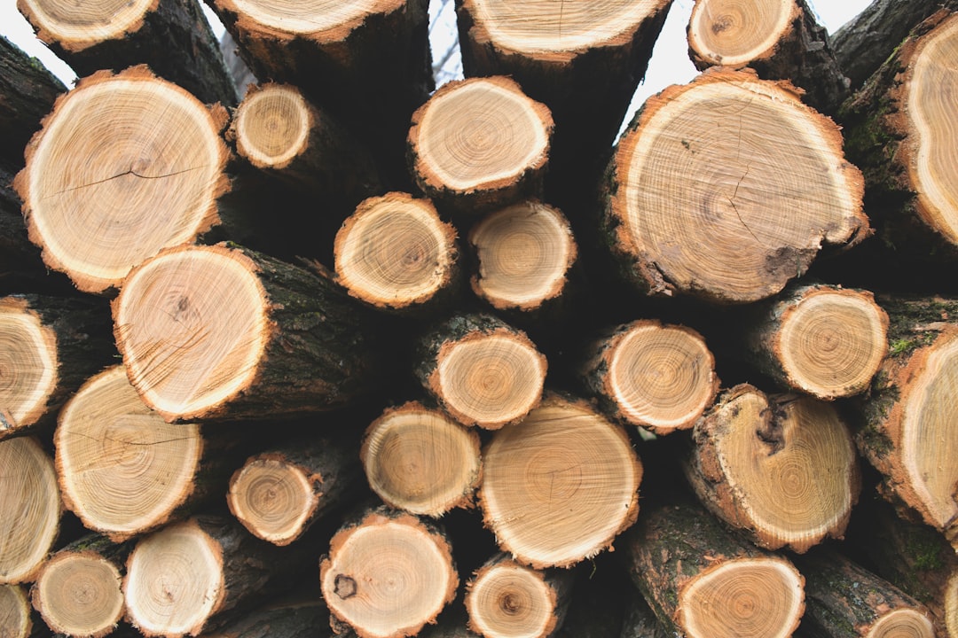 Toronto’s Leading Hardwood Flooring Experts