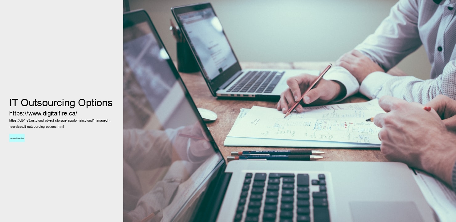 IT Outsourcing Options