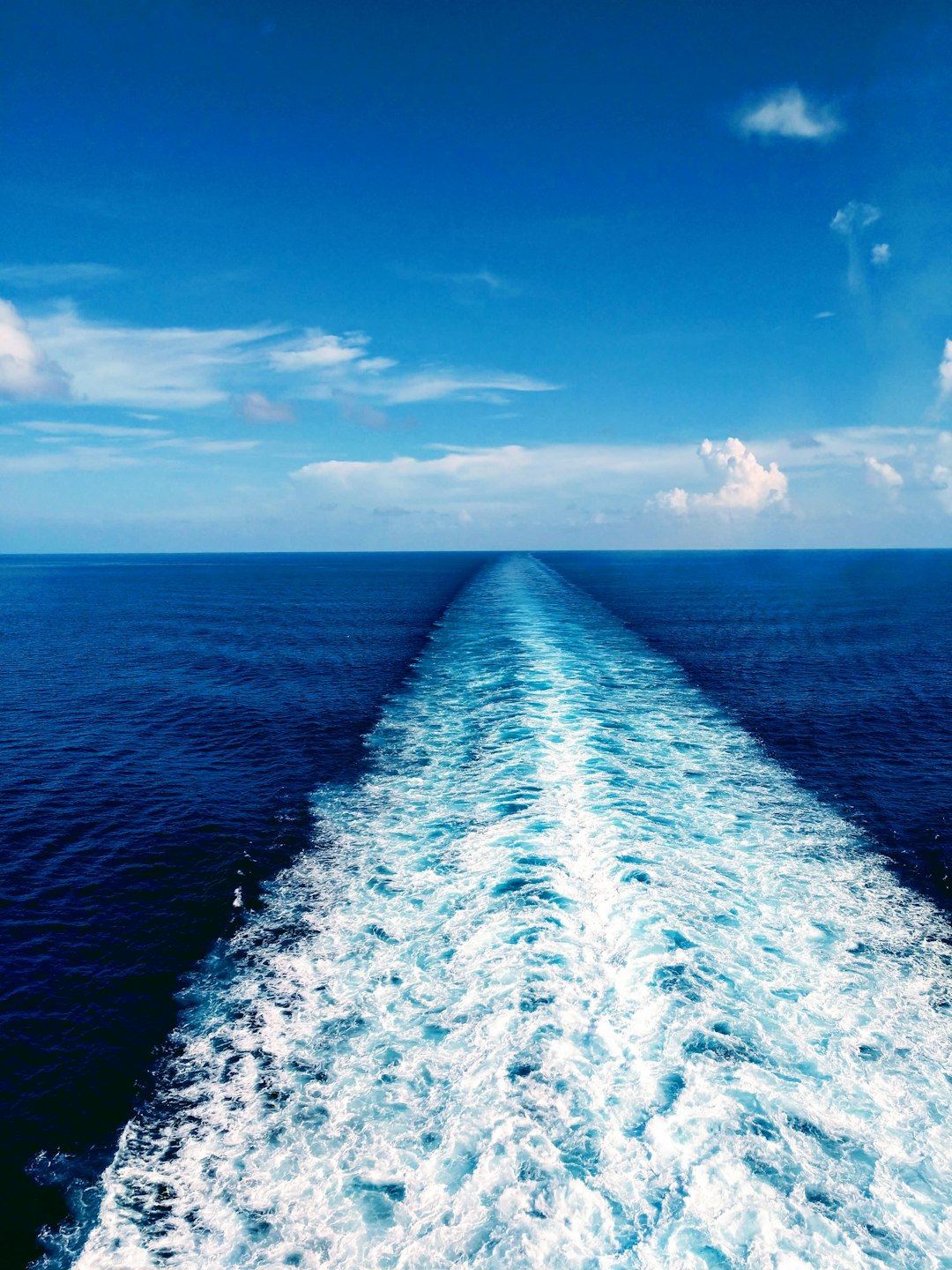 adult freedom cruise  