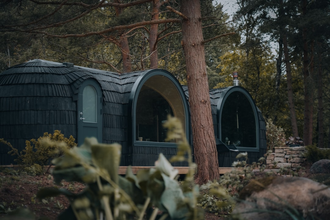Electric saunas