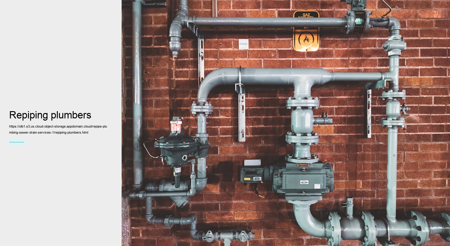 repiping plumbers