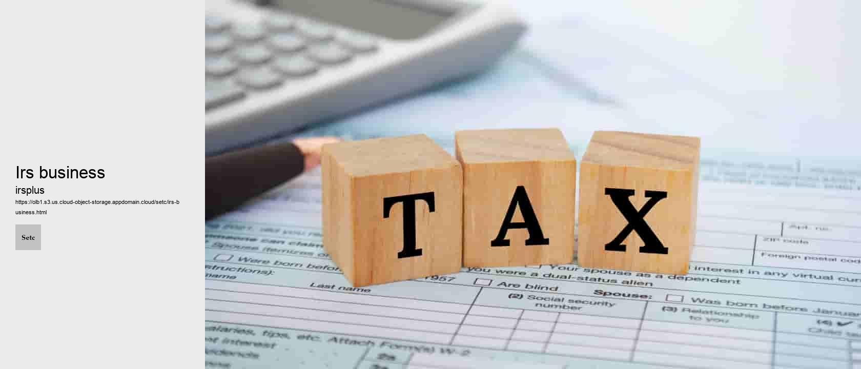 irs business